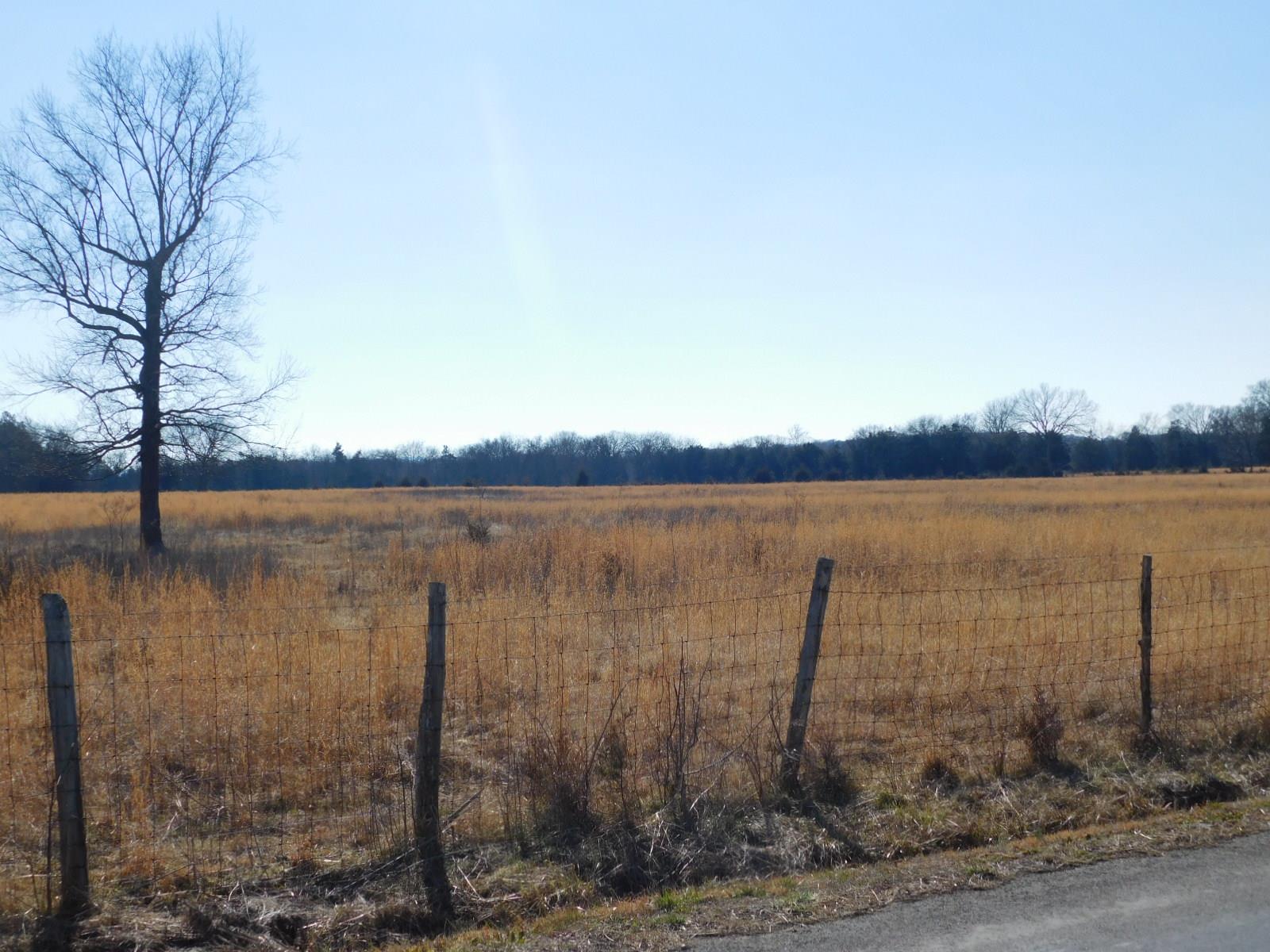 0 Pickle Road Lewisburg, TN 37091 - Photo 11 of 12 Gallery Image 11