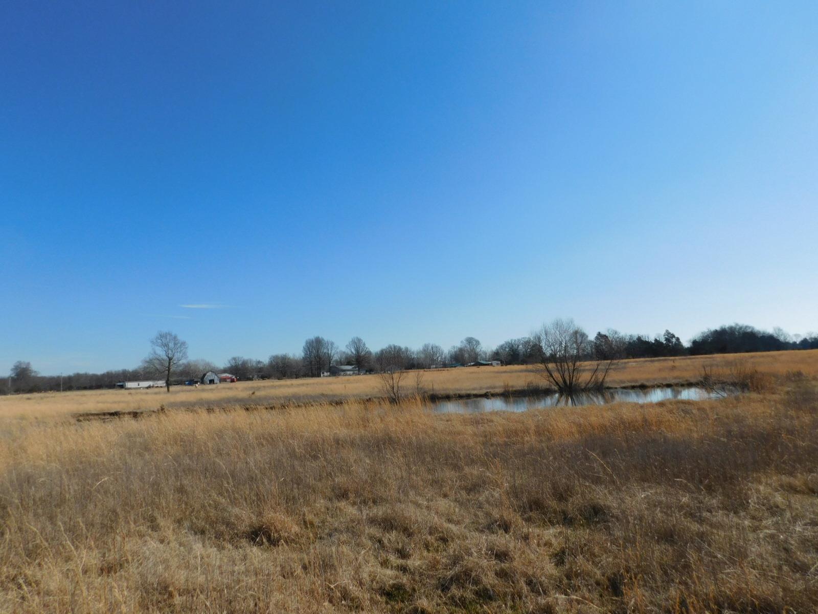 0 Pickle Road Lewisburg, TN 37091 - Photo 4 of 12 Gallery Image 4