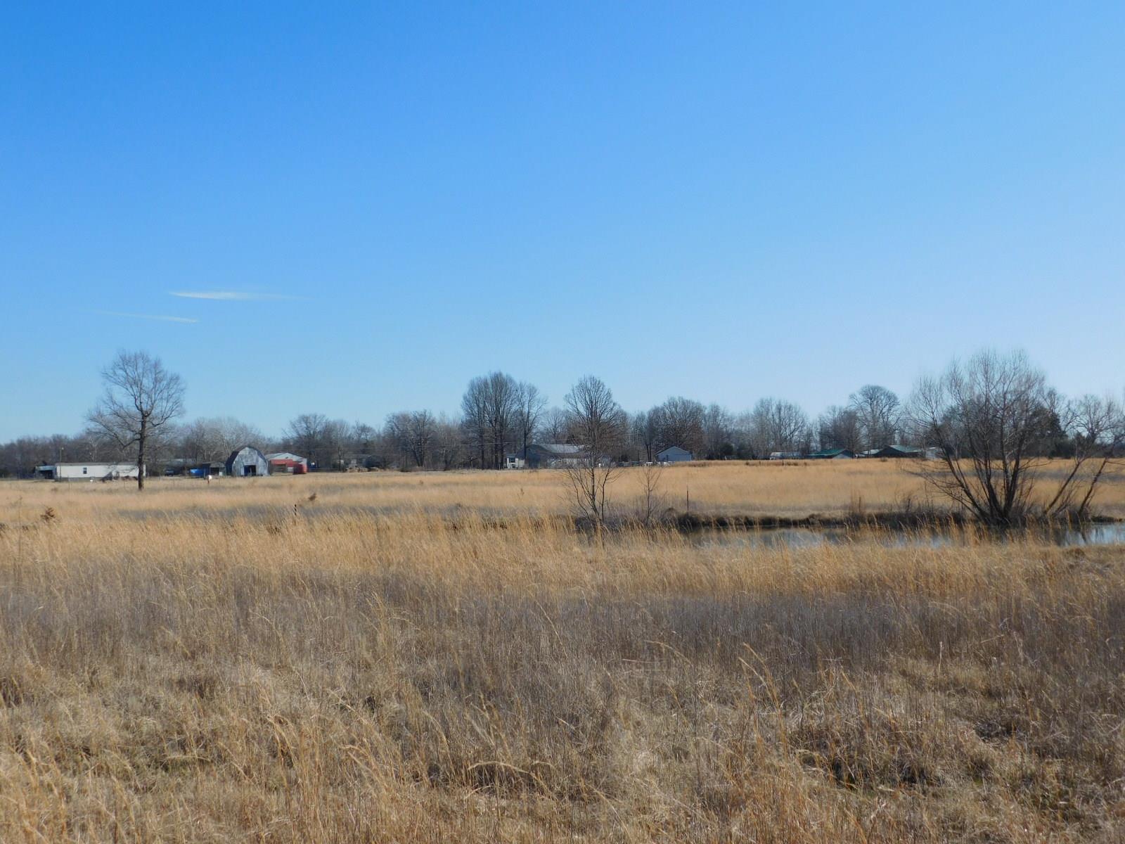 0 Pickle Road Lewisburg, TN 37091 - Photo 8 of 12 Gallery Image 8