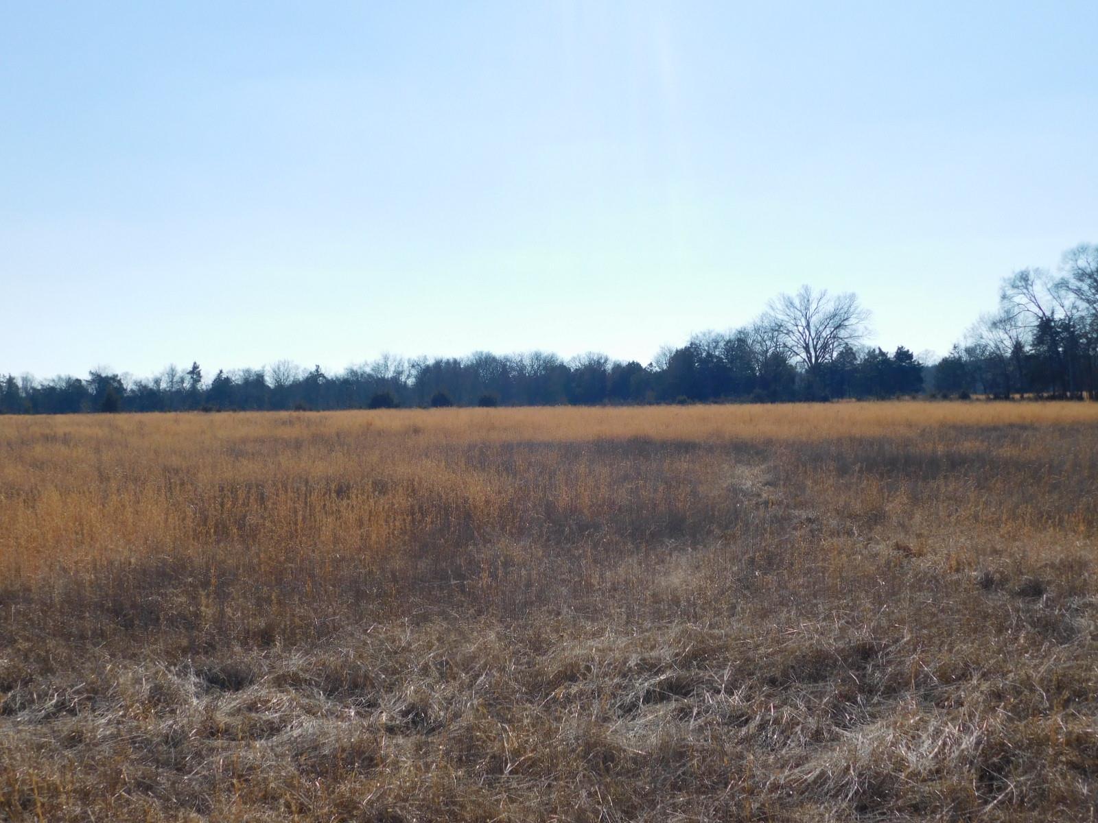 0 Pickle Road Lewisburg, TN 37091 - Photo 10 of 12 Gallery Image 10