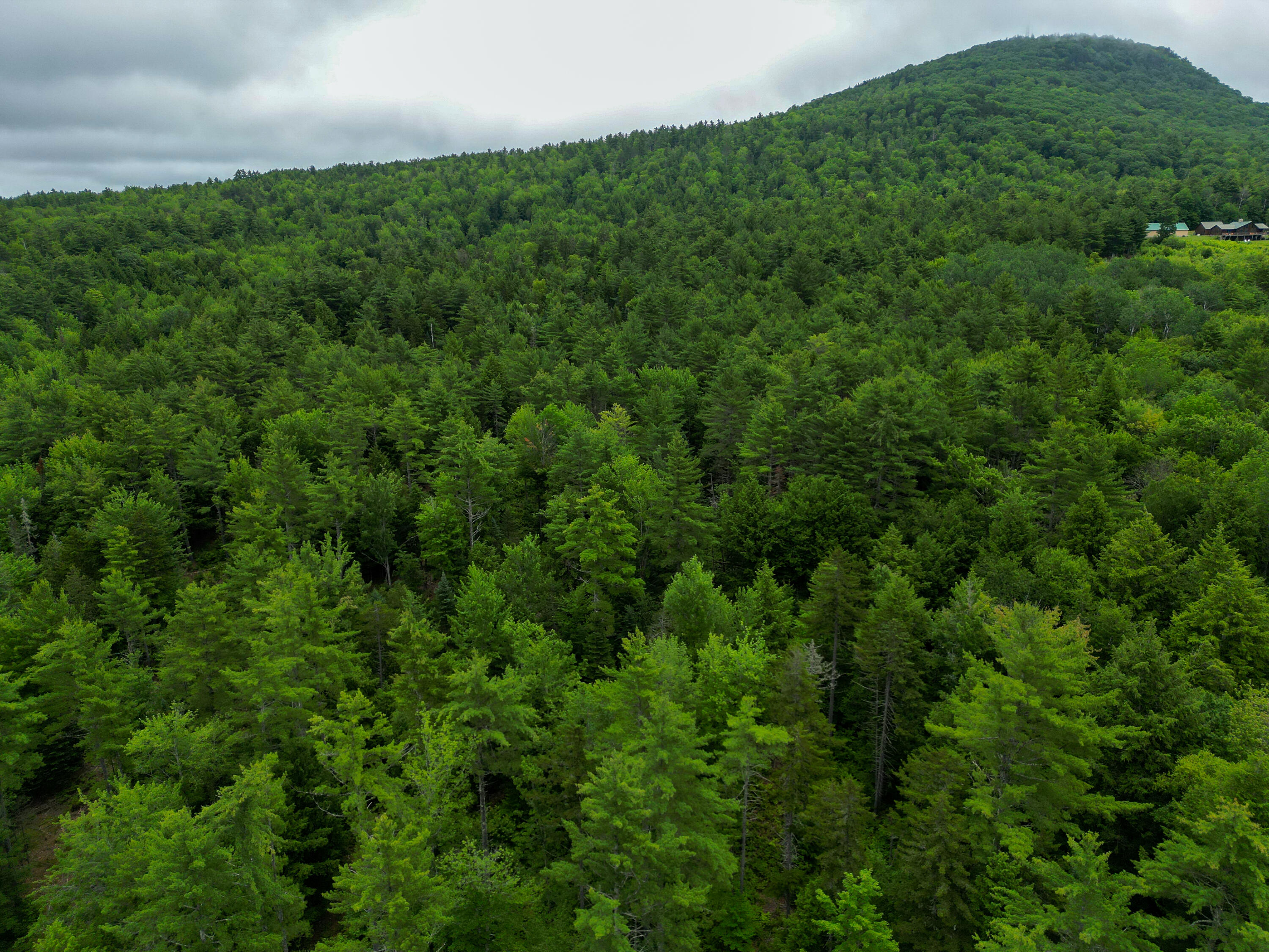 Lot 30 Irish Neighborhood Road Bethel, ME 04217 - Photo 9 of 24 DJI_0614