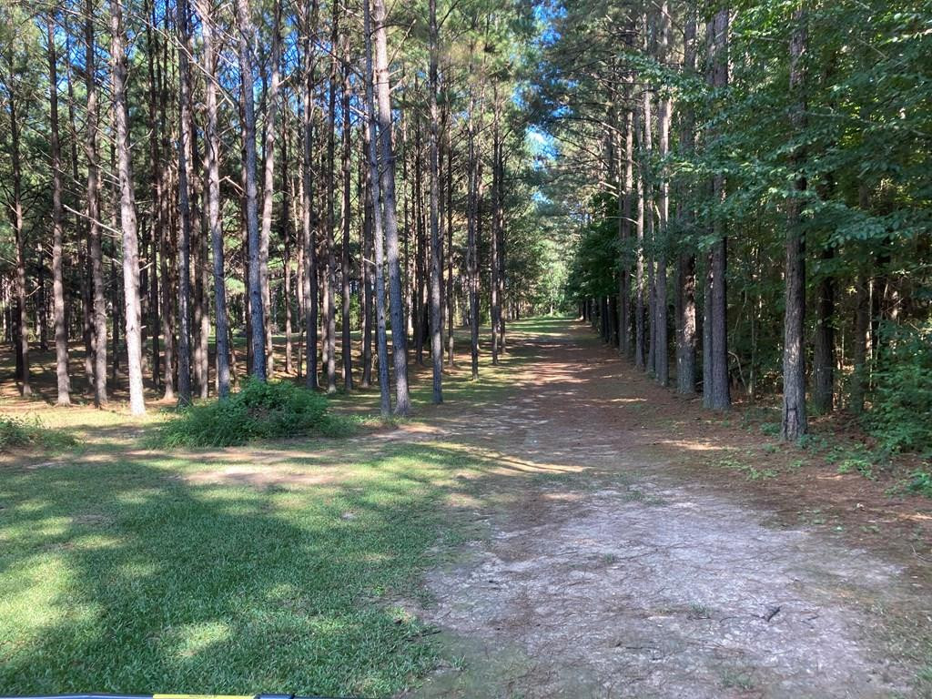 1033 Deer Road McComb, MS 39648 - Photo 25 of 37 Photo 25
