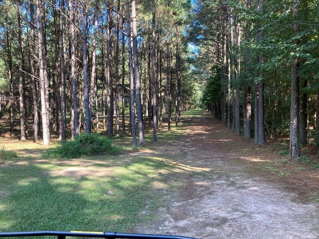 1033 Deer Road McComb, MS 39648 - Photo 32 of 37 Photo 32