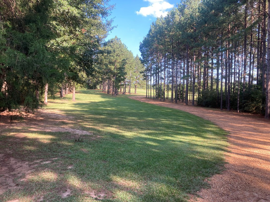 1033 Deer Road McComb, MS 39648 - Photo 34 of 37 Photo 34