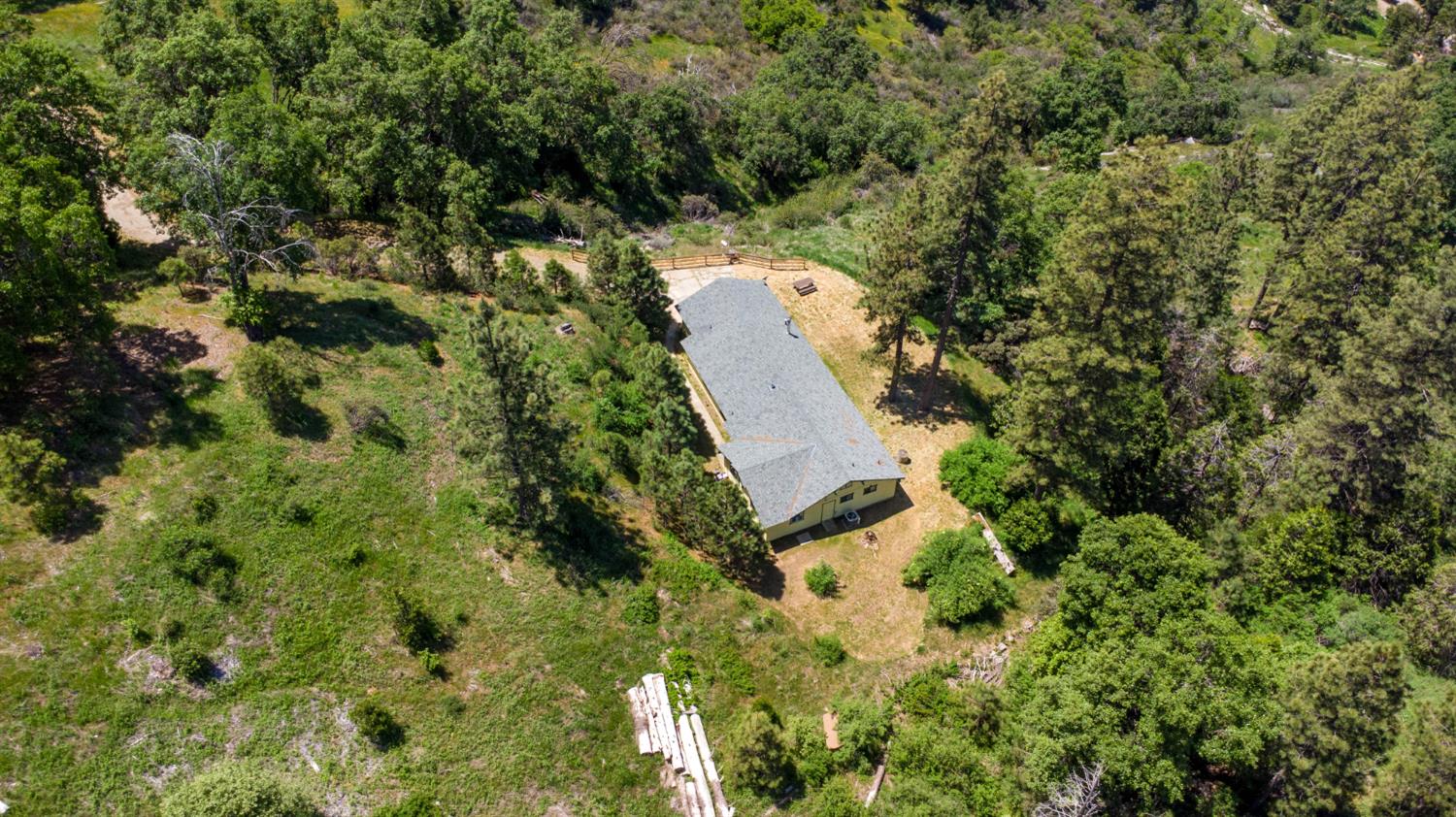 52865 Highway 245 Miramonte, CA 93641 - Photo 28 of 29 a view of a yard with plants and large trees