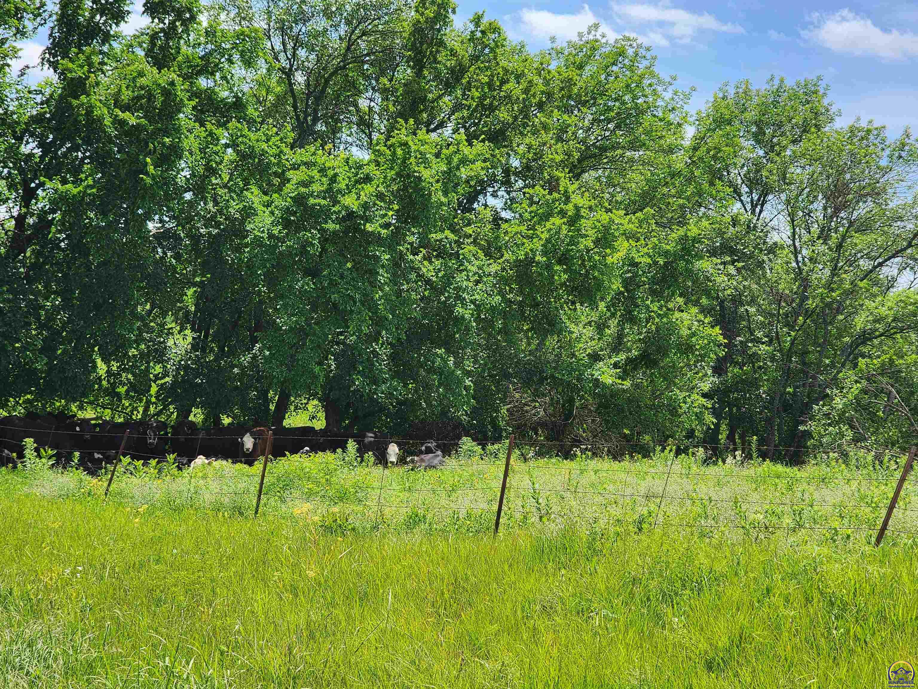 2823 Rd L Emporia, KS 66801 - Photo 16 of 18