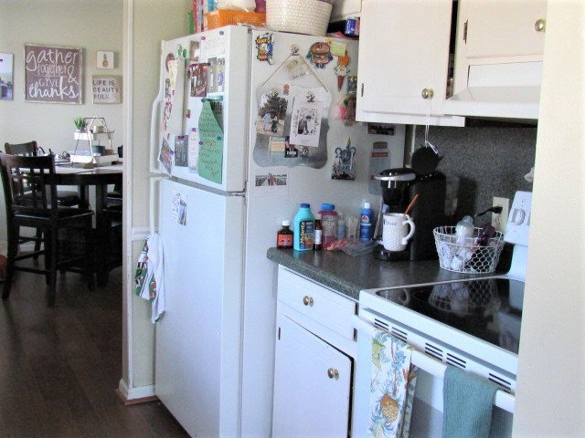 245 Nappier Road Barnwell, SC 29812 - Photo 10 of 14 Gallery Image 10