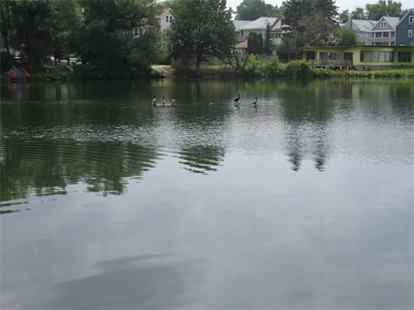 18 Hamilton Road, Unit 102 Arlington, MA 02474 - Photo 16 of 17 Gallery Image 16