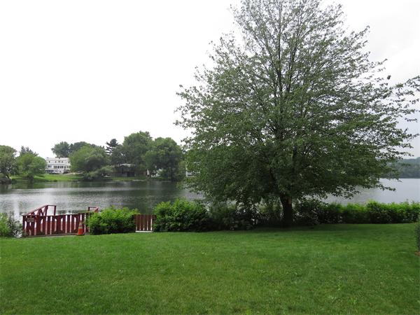 18 Hamilton Road, Unit 102 Arlington, MA 02474 - Photo 7 of 17 Gallery Image 7