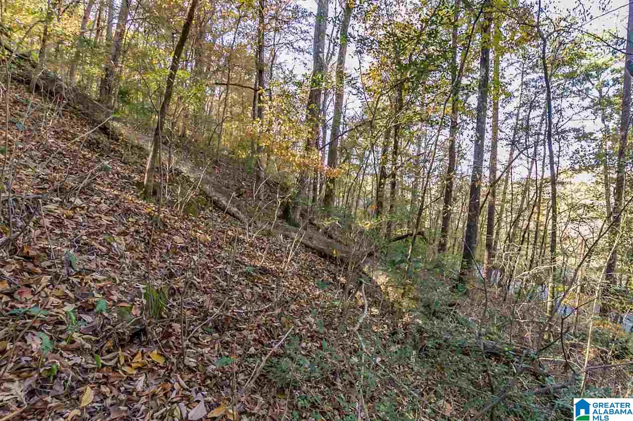 3385 Overbrook Road, Unit 109 Birmingham, AL 35213 - Photo 28 of 36
