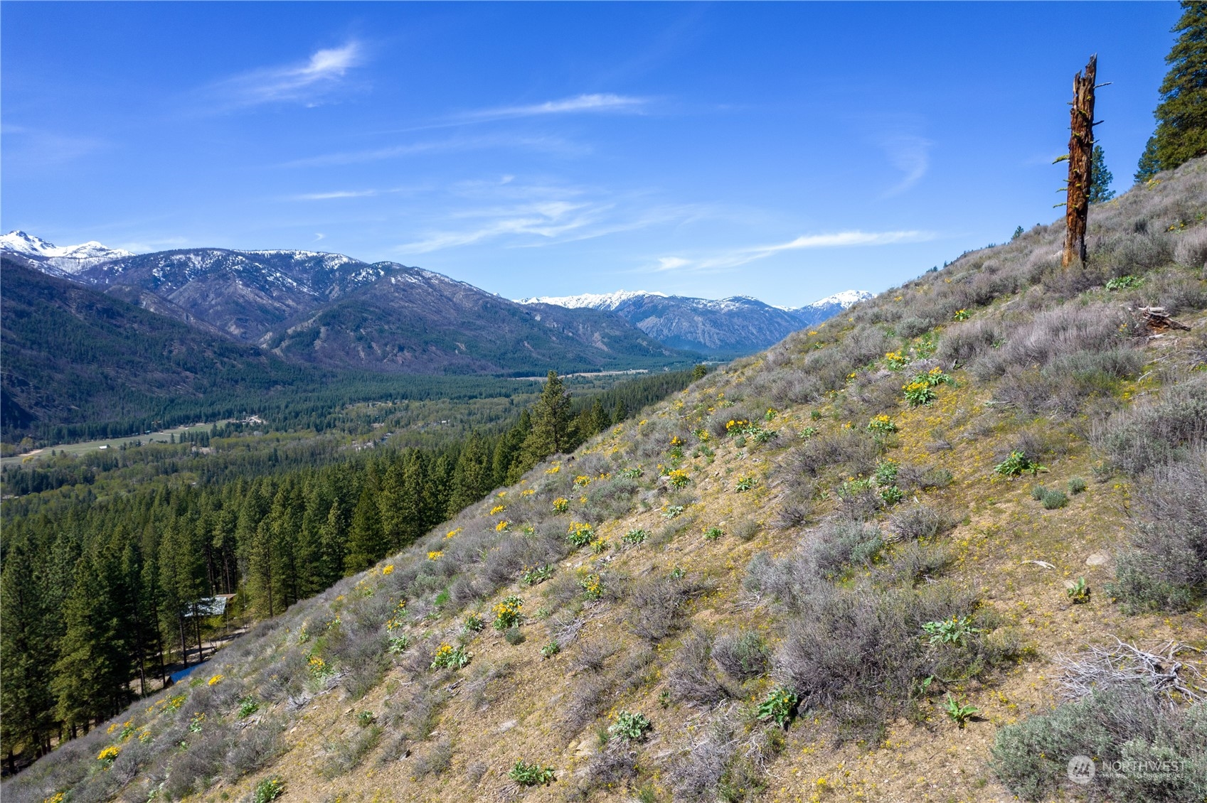 14 Trillium Road Winthrop, WA 98862 - Photo 3 of 18 a view of a yard with a lake view