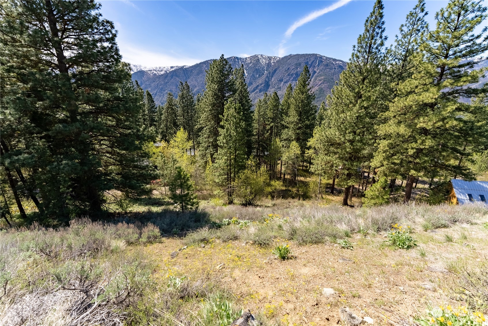 14 Trillium Road Winthrop, WA 98862 - Photo 9 of 18 a view of a yard