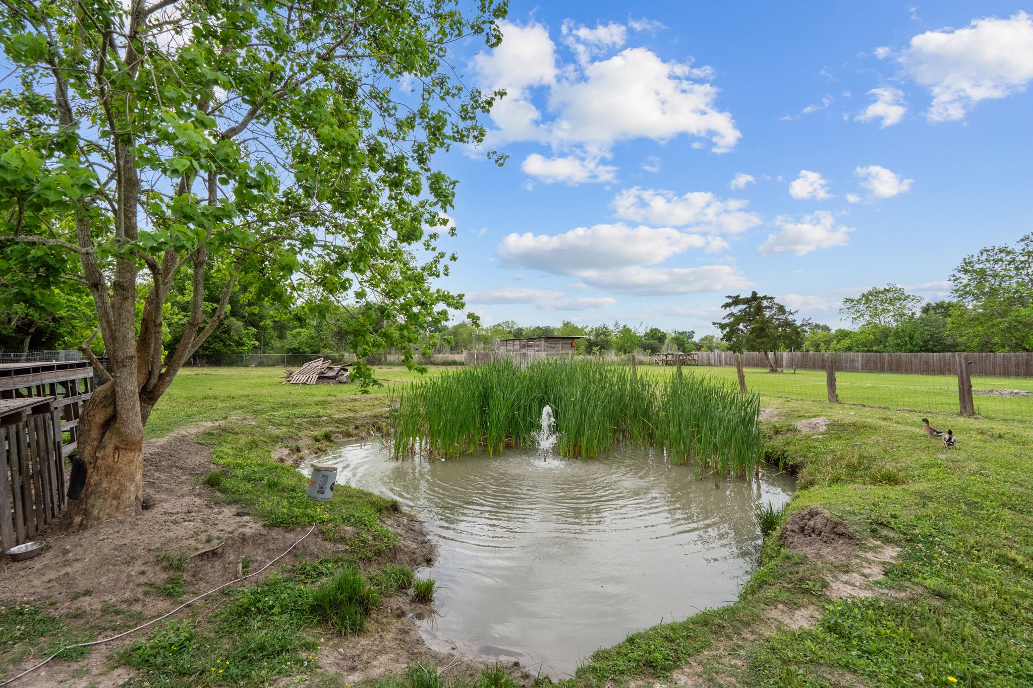 1510 Rymal Road Santa Fe, TX 77511 - Photo 41 of 47
