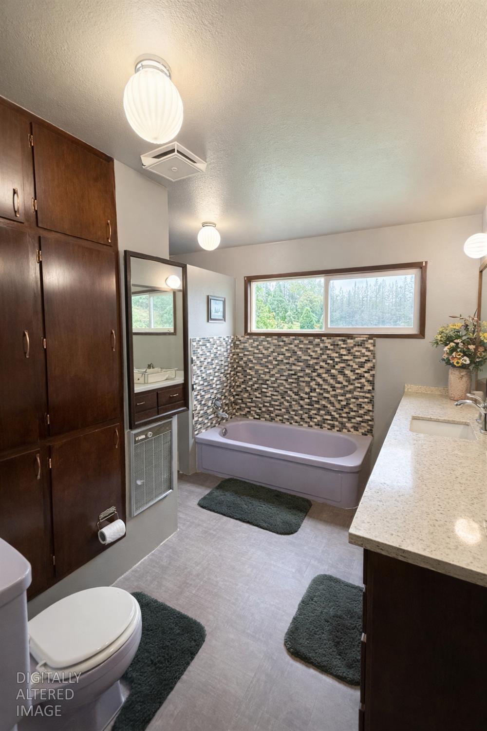 7300 Highway 193 Georgetown, CA 95634 - Photo 10 of 16 a bathroom with a sink a toilet and shower