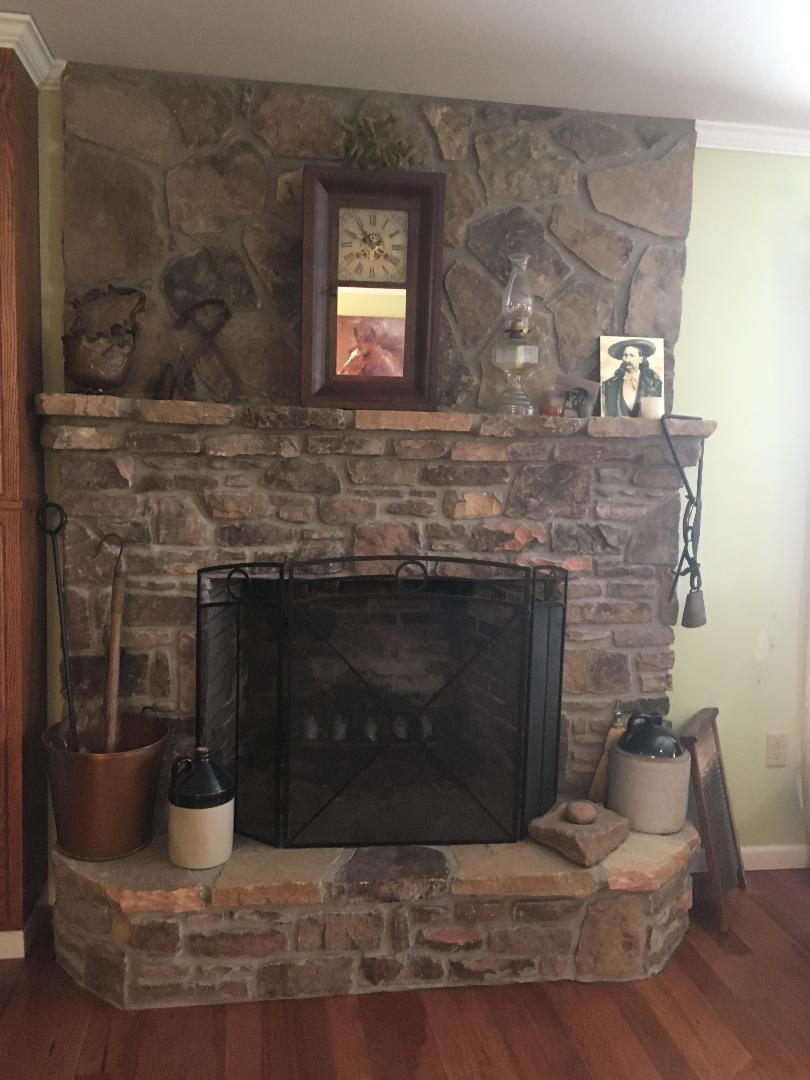 25320 Rhea County Highway Spring City, TN 37381 - Photo 13 of 38 firepl