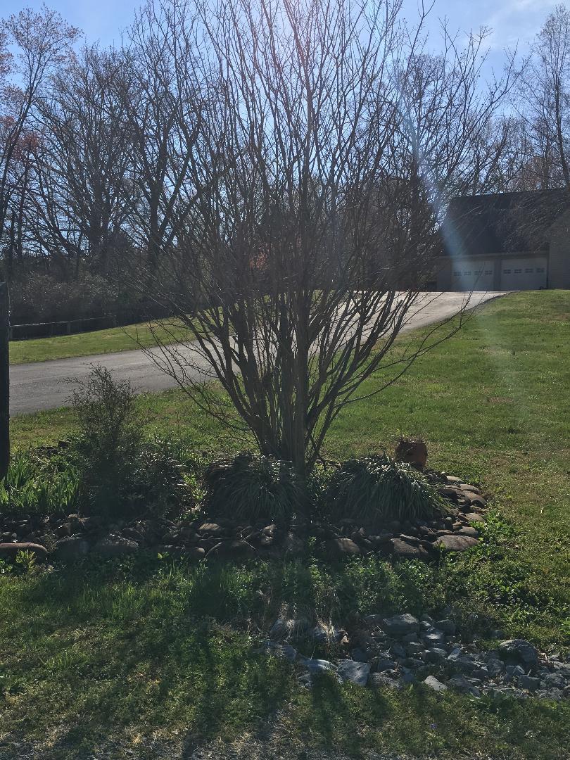 25320 Rhea County Highway Spring City, TN 37381 - Photo 7 of 38 ldsp1