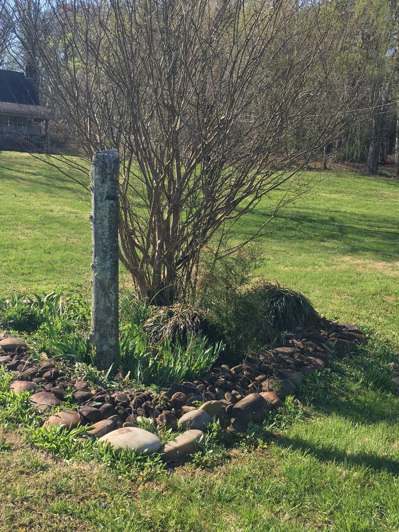 25320 Rhea County Highway Spring City, TN 37381 - Photo 8 of 38 ldsp3