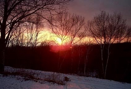 470 Mountain Road Wilbraham, MA 01095 - Photo 38 of 42 a backyard of a house