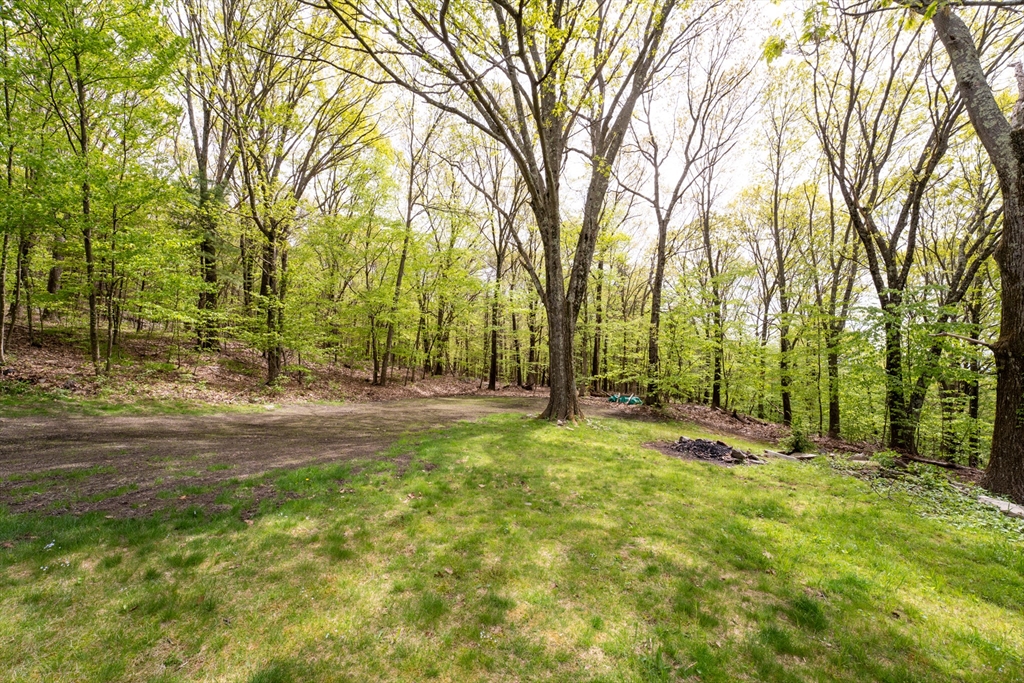 470 Mountain Road Wilbraham, MA 01095 - Photo 6 of 42 a view of backyard with tree