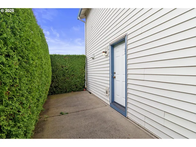 a view of backyard of house