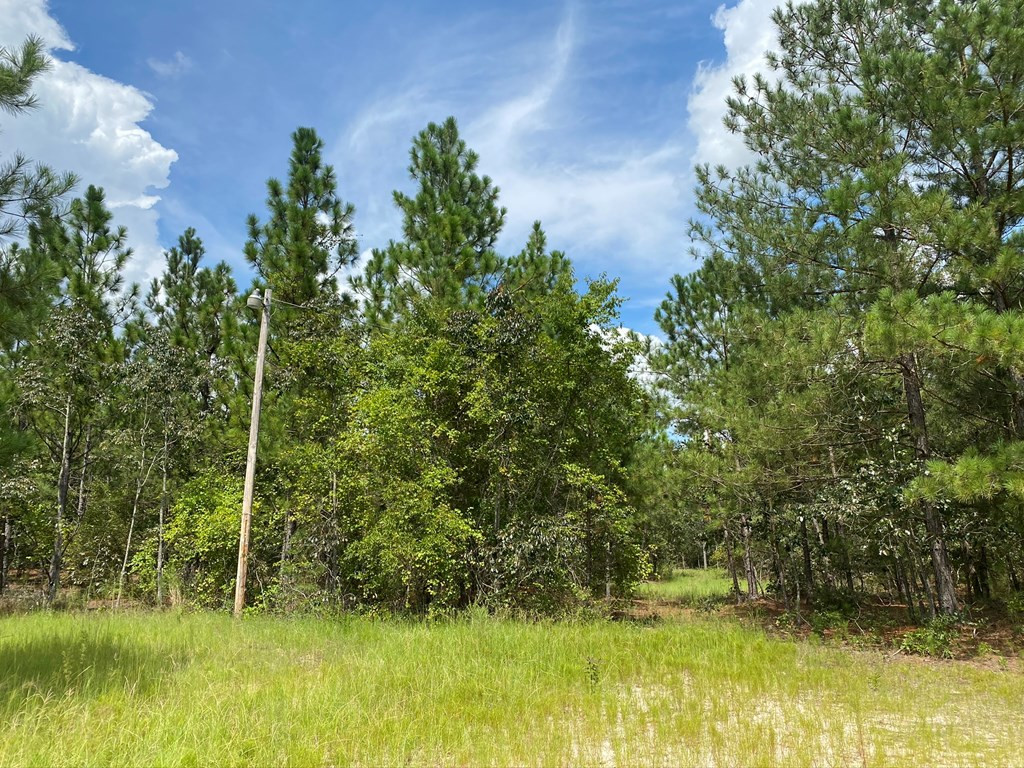 487 Pine Acres Road Windsor, SC 29856 - Photo 2 of 21
