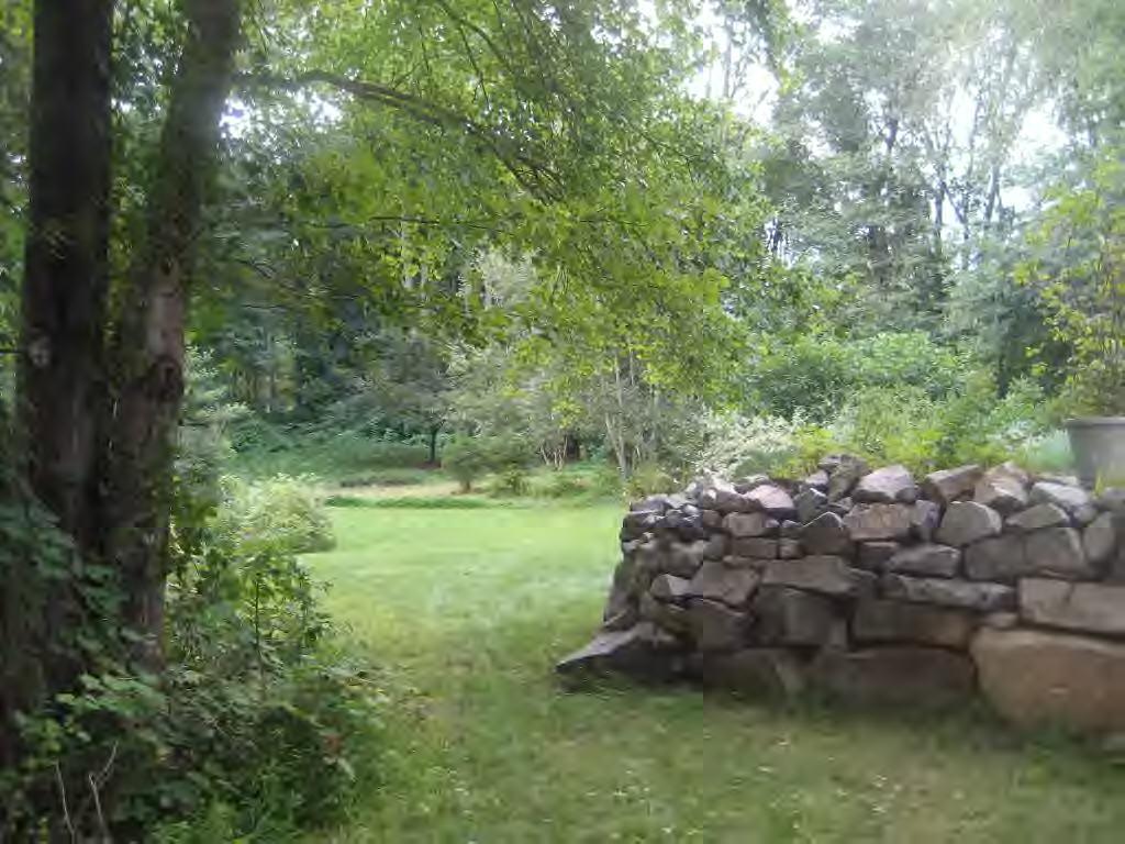 45 R Old Farm Road Darien, CT 06820 - Photo 15 of 16 a view of a lush green forest