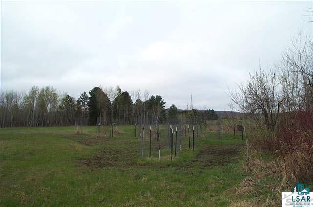 40101 Hanninen Road Marengo, WI 54855 - Photo 4 of 14