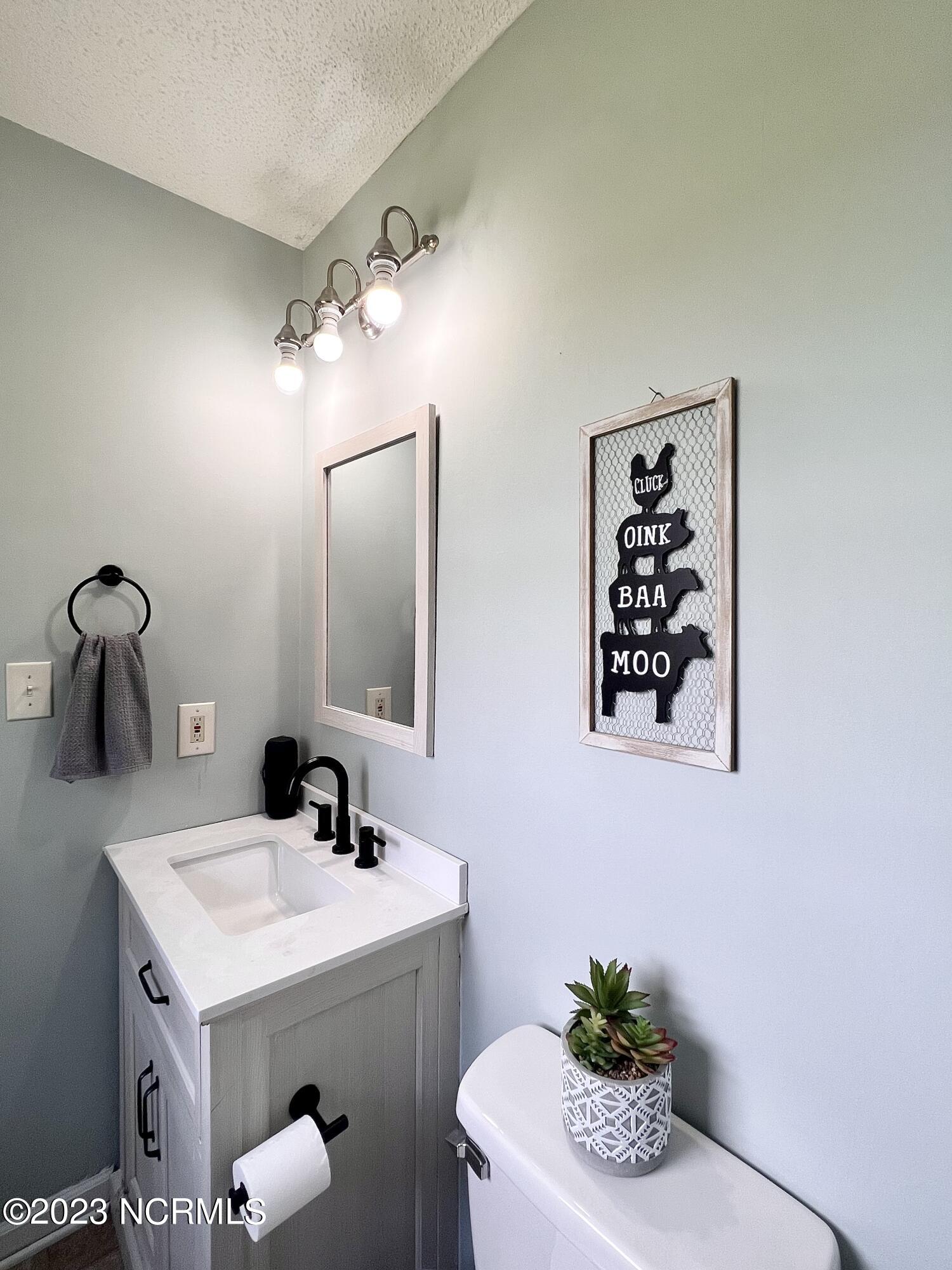 4481 Meadowbrook Road Rocky Mount, NC 27801 - Photo 16 of 26 Owner's Bathroom view 2
