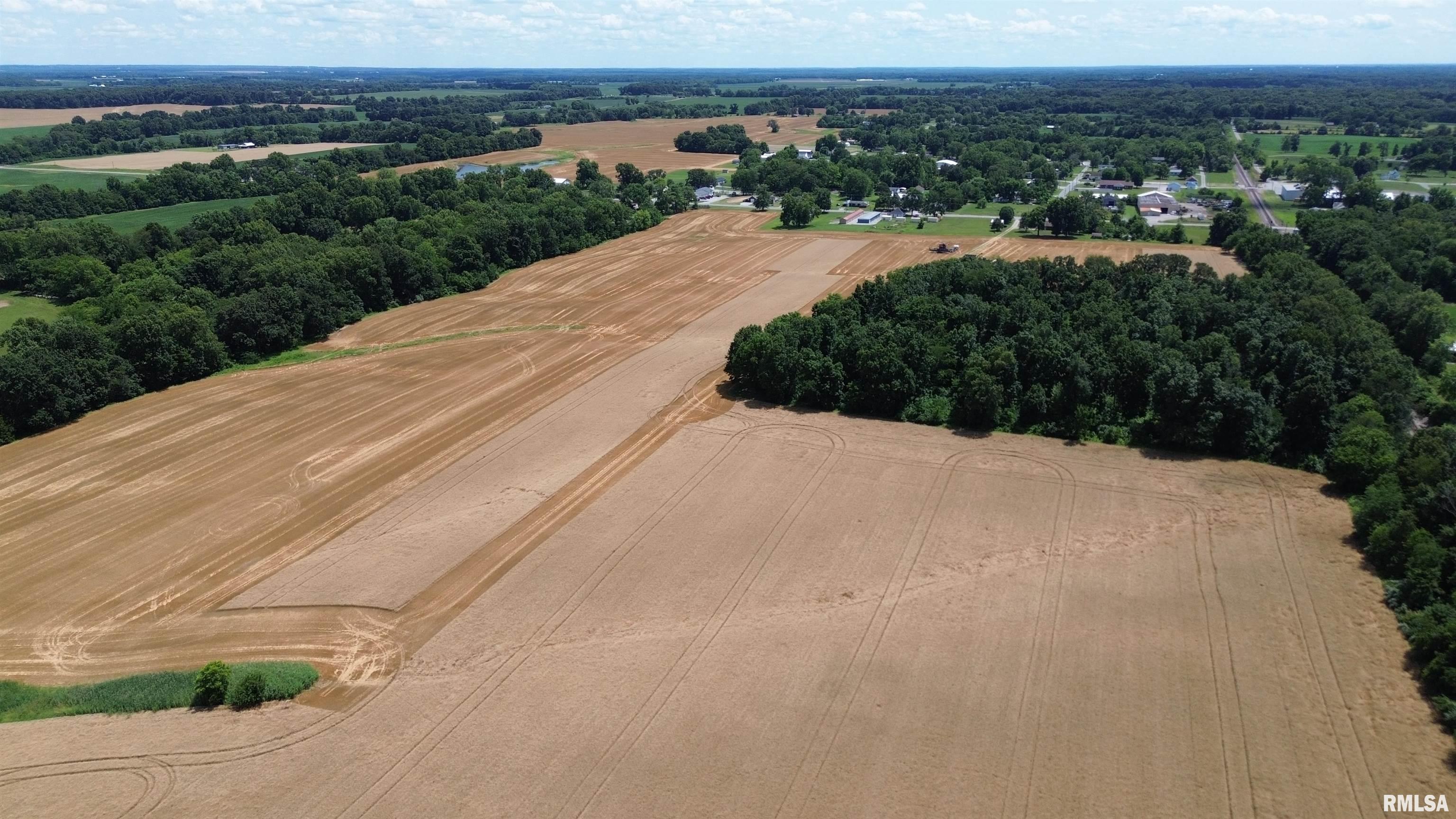 0 Ewing Road Whittington, IL 62897 - Photo 9 of 18