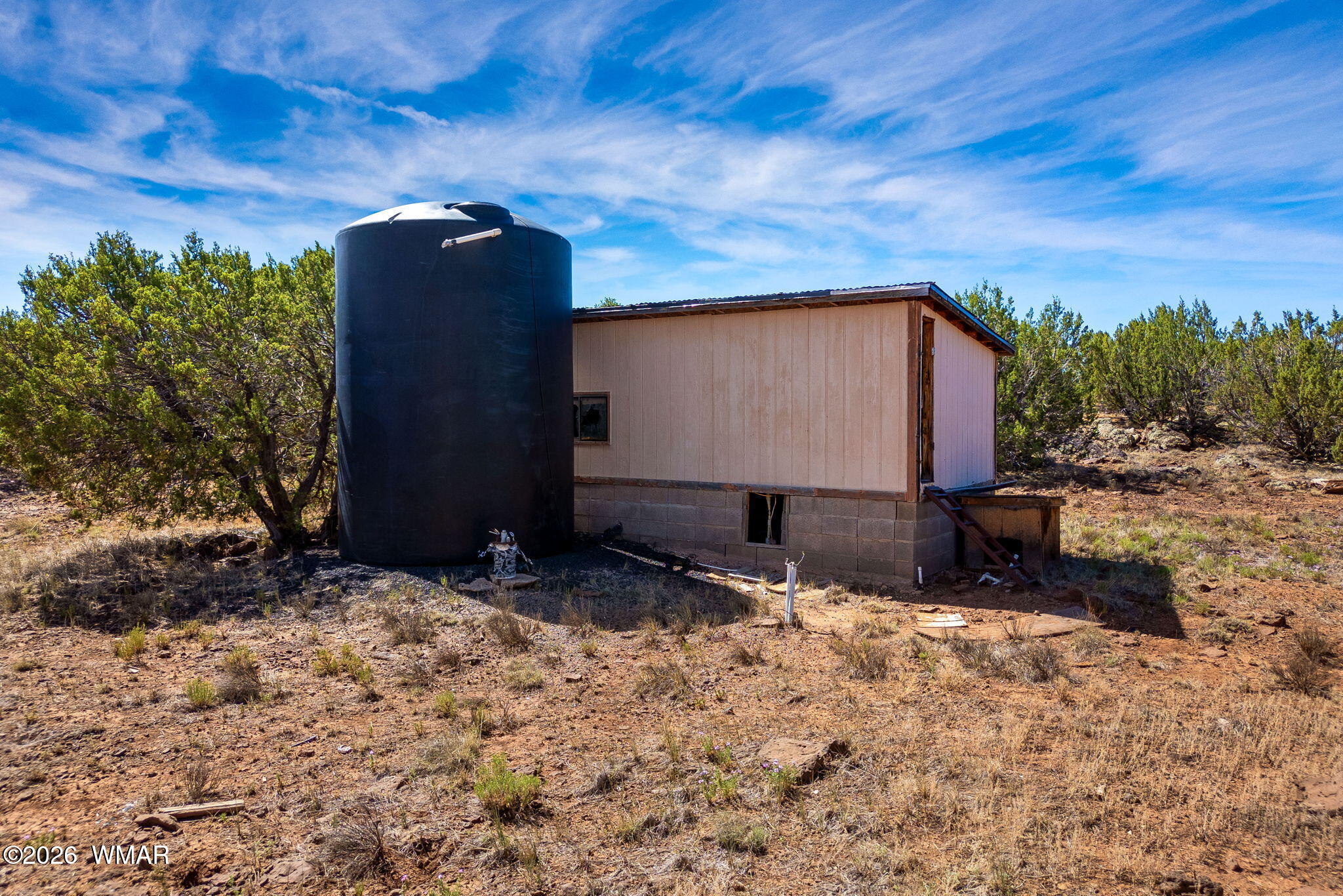 84 County Road Concho, AZ 85924 - Photo 4 of 9