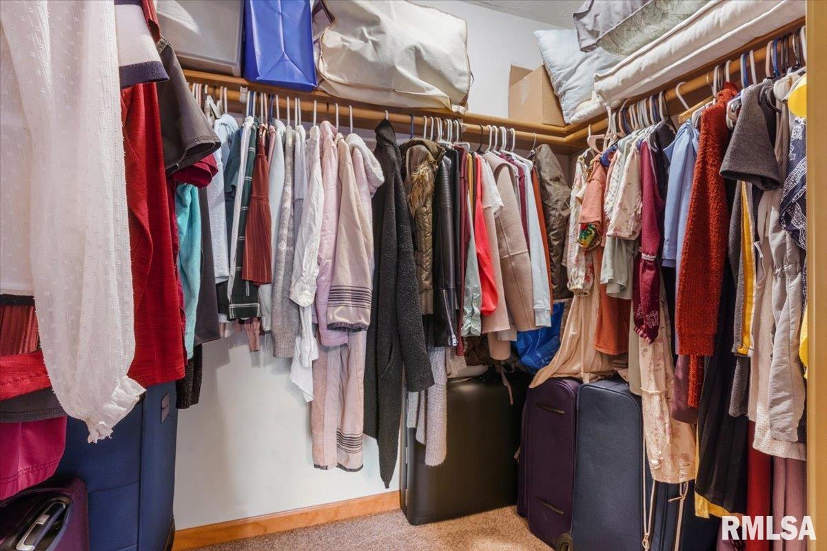 3053 Twin Lakes Drive Springfield, IL 62707 - Photo 20 of 31