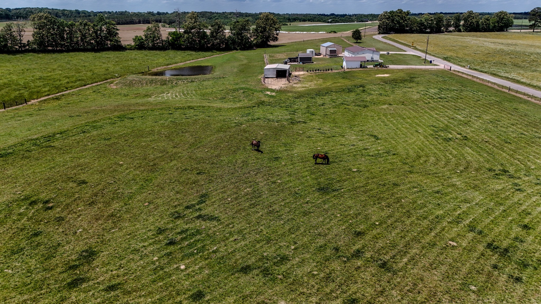 1198 David Patterson Road Lutts, TN 38471 - Photo 41 of 82