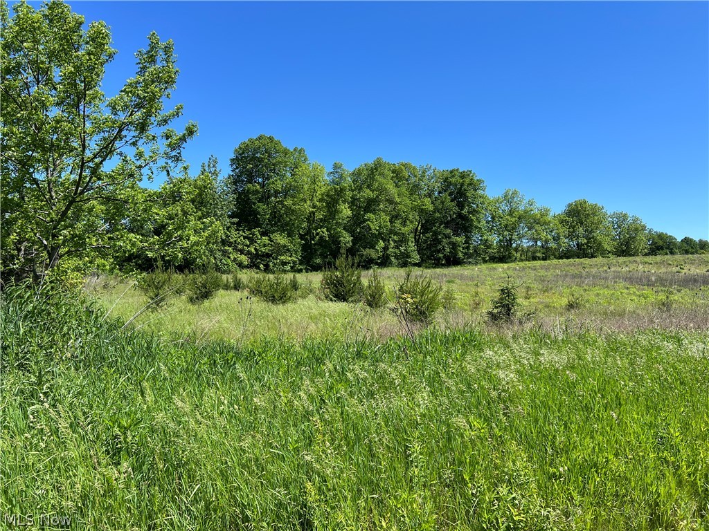 Shaw Road Spencer, OH 44275 - Photo 3 of 8