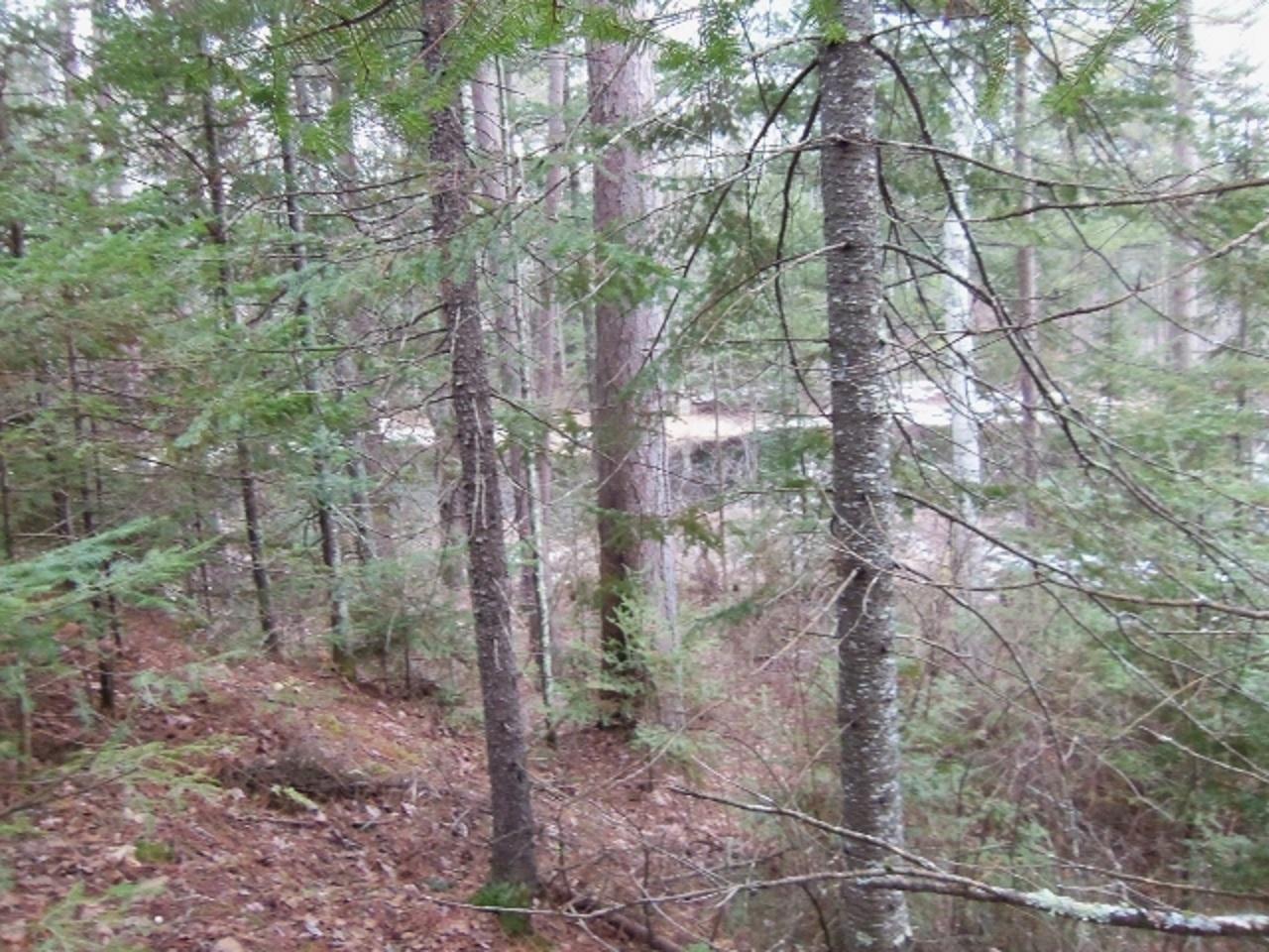 3085 Grant Lake Road Mercer, WI 54547 - Photo 5 of 14 Gallery Image 5