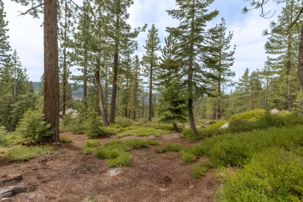 $40,000 | 1315 Skyline Drive, Arnold, CA 95223
