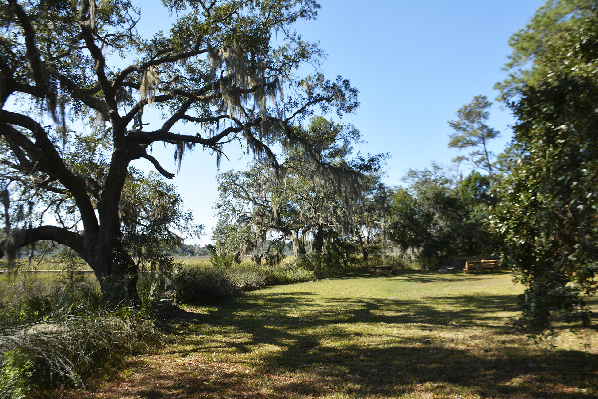 8061 Point Of Pines Road Edisto Island, SC 29438 - Photo 38 of 58 _DSC8217