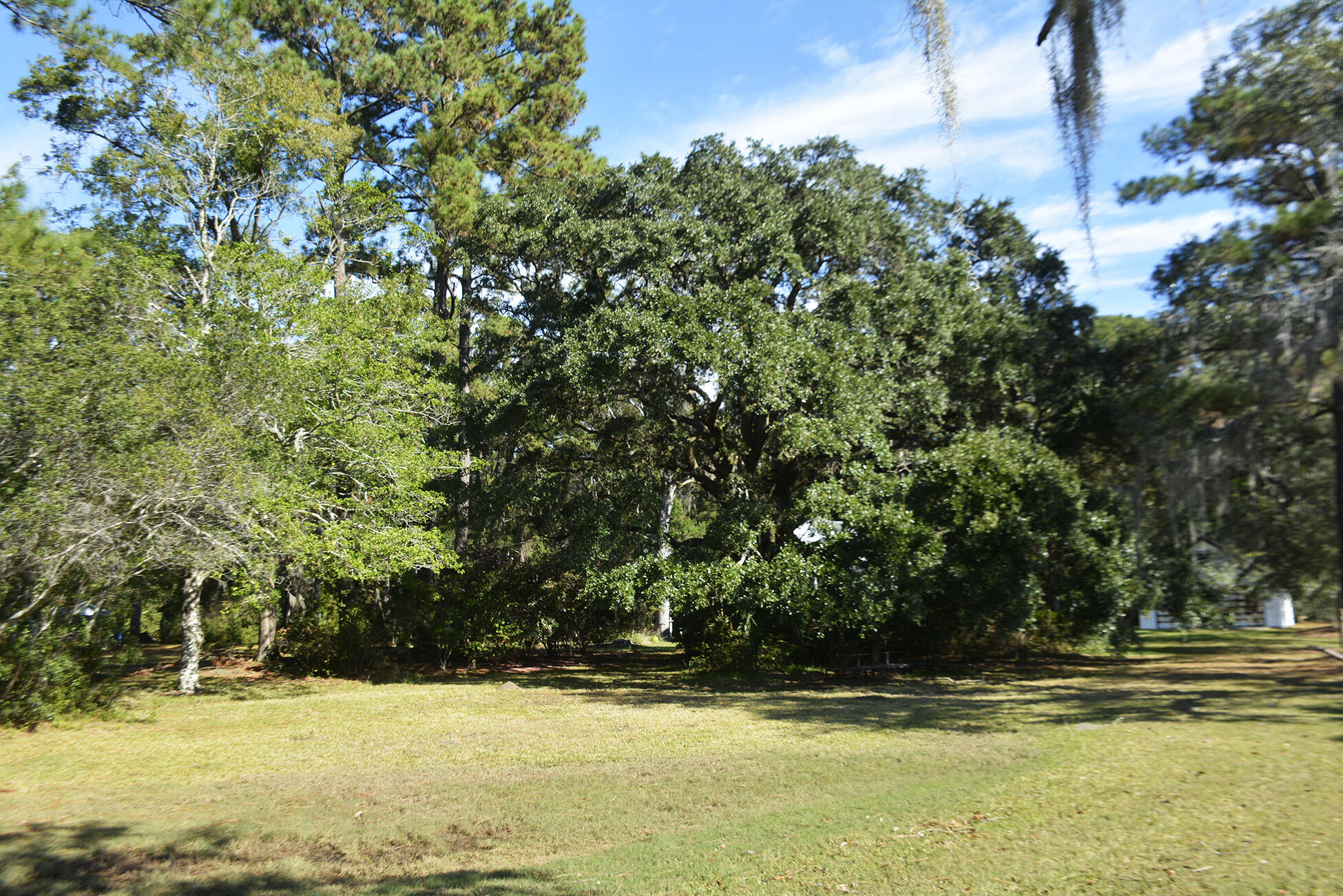 8061 Point Of Pines Road Edisto Island, SC 29438 - Photo 43 of 58 _DSC8223