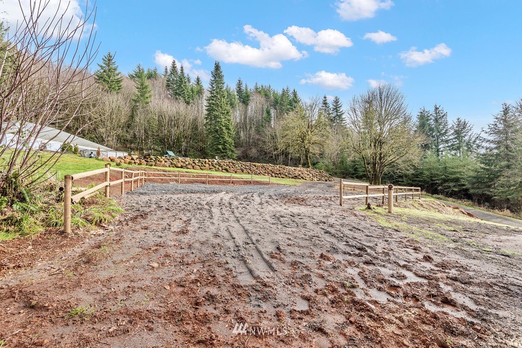 195 Puma Road Longview, WA 98632 - Photo 35 of 39 a view of a yard with an trees