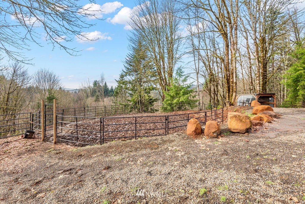 195 Puma Road Longview, WA 98632 - Photo 36 of 39 a view of a park with large trees