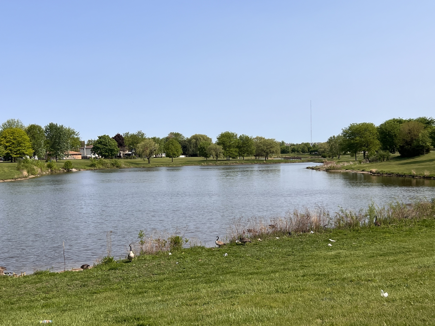 159 West Elk Trail, Unit 356 Carol Stream, IL 60188 - Photo 15 of 21 a view of a lake with houses in the back
