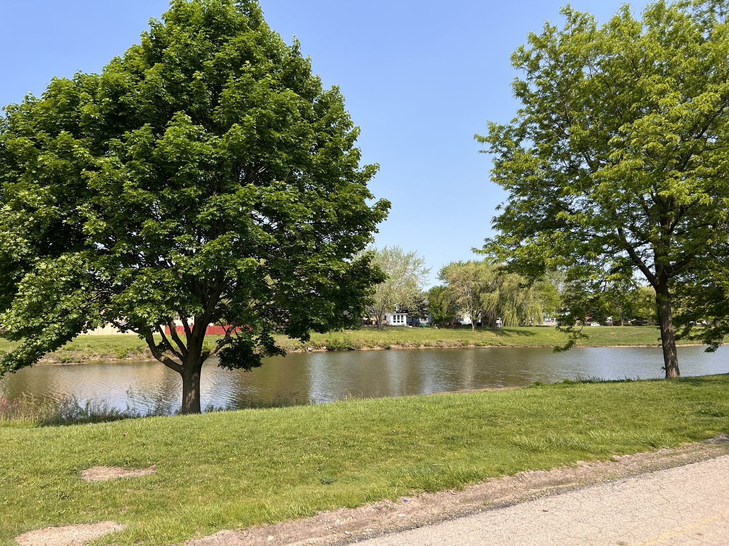 159 West Elk Trail, Unit 356 Carol Stream, IL 60188 - Photo 16 of 21 a view of a lake with a big yard