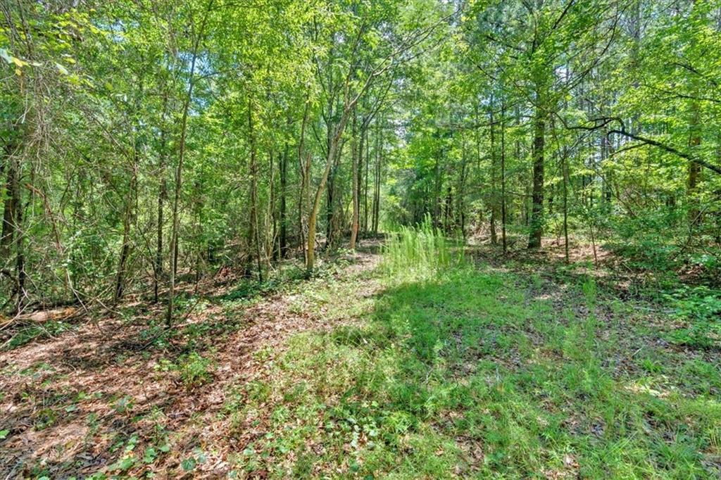 0 Timmons Circle Villa Rica, GA 30180 - Photo 11 of 20 a big yard with lots of green space and deers