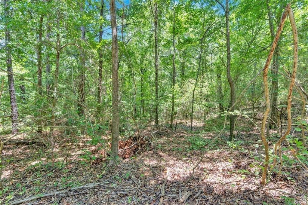 0 Timmons Circle Villa Rica, GA 30180 - Photo 12 of 20 a view of outdoor space and green space