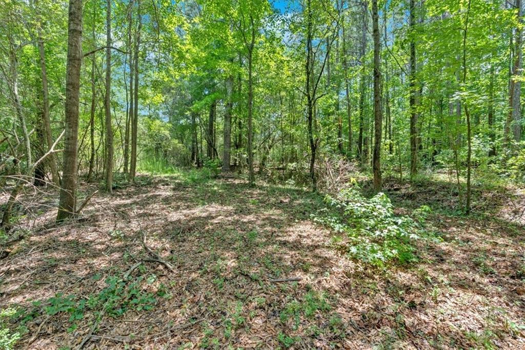 0 Timmons Circle Villa Rica, GA 30180 - Photo 13 of 20 a view of outdoor space and green space