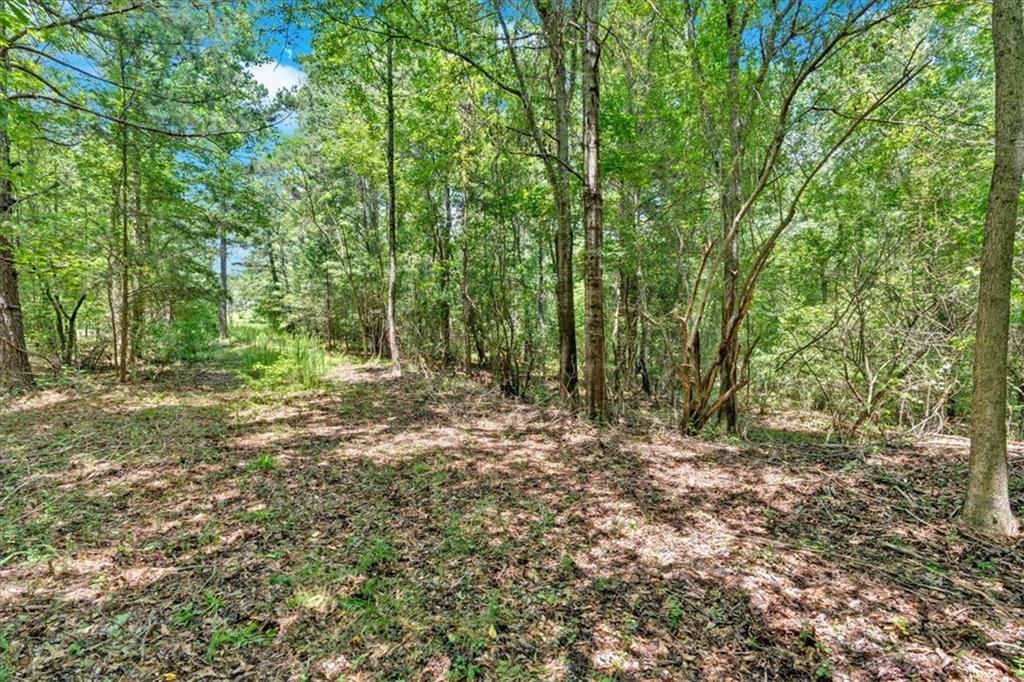0 Timmons Circle Villa Rica, GA 30180 - Photo 14 of 20 a view of outdoor space and trees