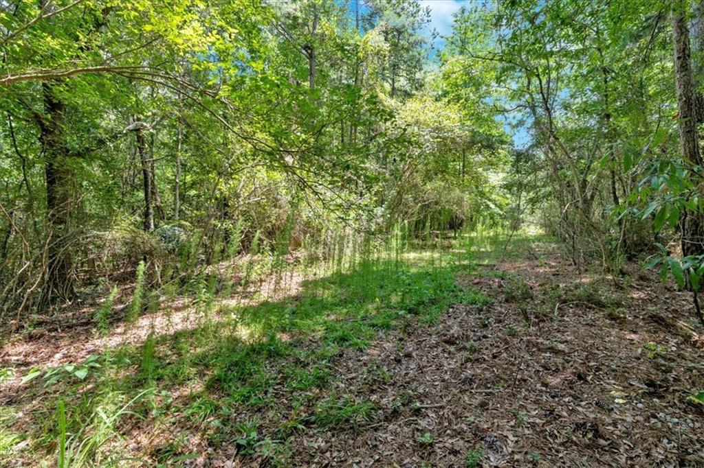 0 Timmons Circle Villa Rica, GA 30180 - Photo 16 of 20 a plant view in yard