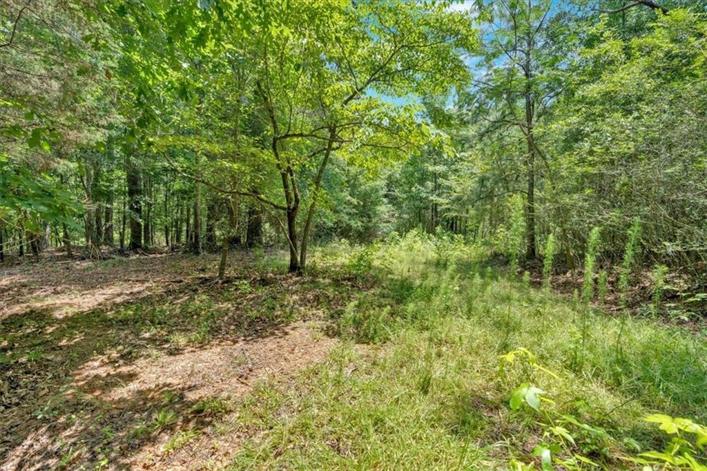 0 Timmons Circle Villa Rica, GA 30180 - Photo 17 of 20 a view of outdoor space and trees