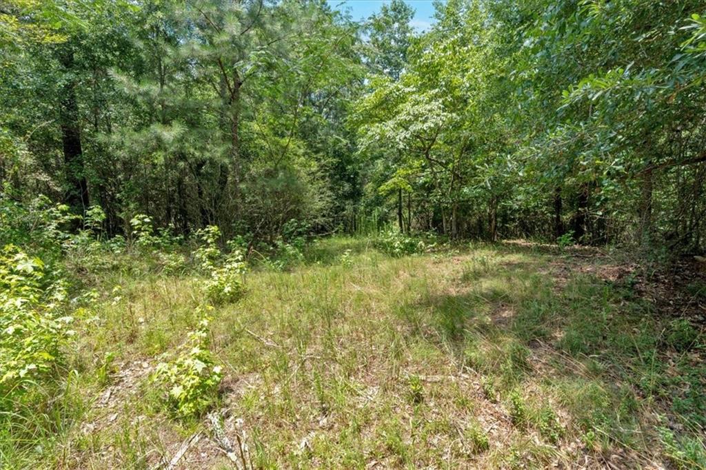 0 Timmons Circle Villa Rica, GA 30180 - Photo 18 of 20 a view of outdoor space and a yard