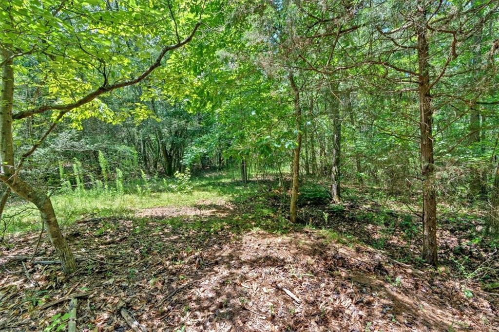 0 Timmons Circle Villa Rica, GA 30180 - Photo 19 of 20 a view of outdoor space and green space