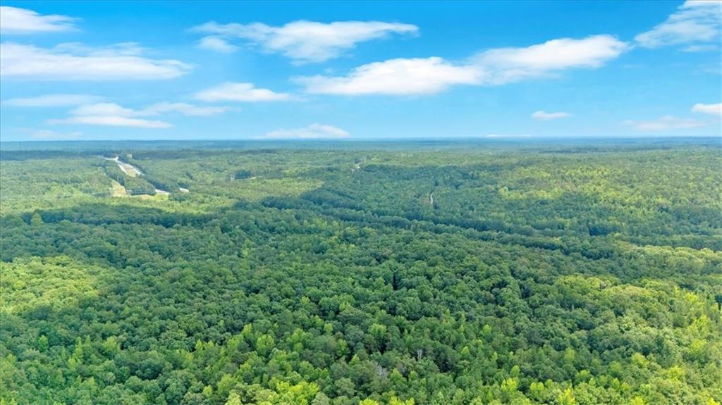 0 Timmons Circle Villa Rica, GA 30180 - Photo 2 of 20 a view of a city